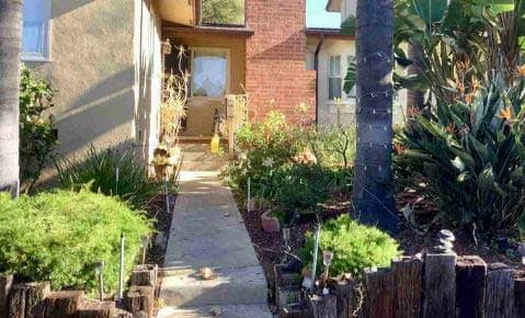 Concrete path to a front door lined with shrubs and flowering plants, with a palm trunk growing close to the house