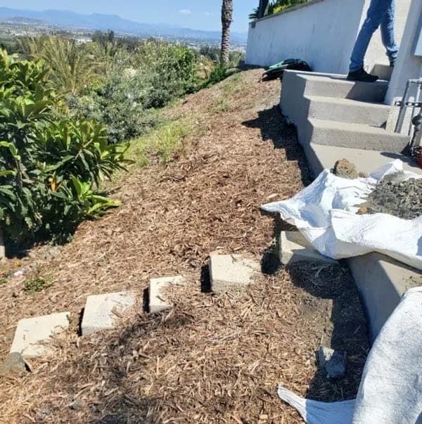 Newly planted slope held by low stone edging and mulch above a concrete retaining wall