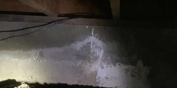 White efflorescence staining spreading across a dark concrete stem wall