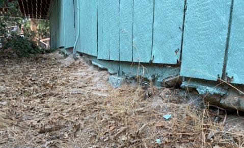 Rotted and broken wood at the base of painted siding where it meets the ground