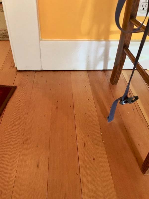 Dalinghaus Foundation Repair inspecting uneven floors and a gap between the floor and wall in a residential interior.