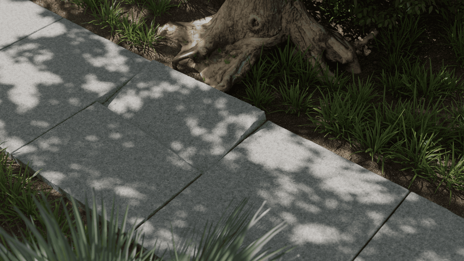 Illustration of uneven concrete sidewalk slabs with a prominent trip hazard caused by tree root intrusion