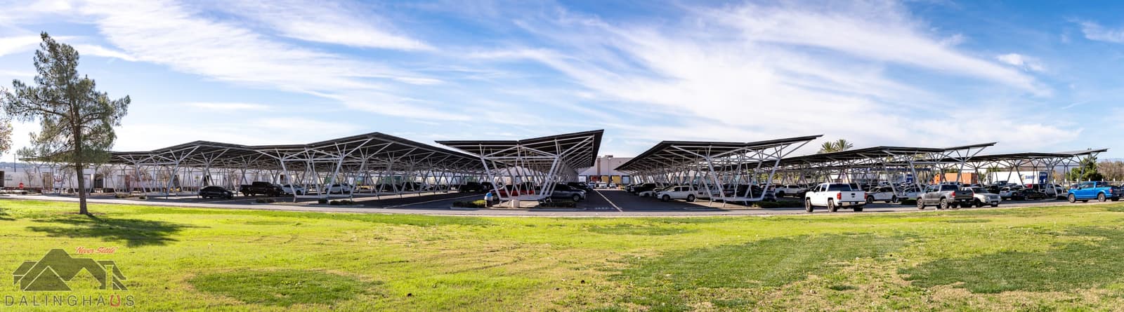 Panorama of the completed solar canopy field seen across a lawn, several parallel canopy runs on white branching steel columns covering rows of parked cars under a blue sky.