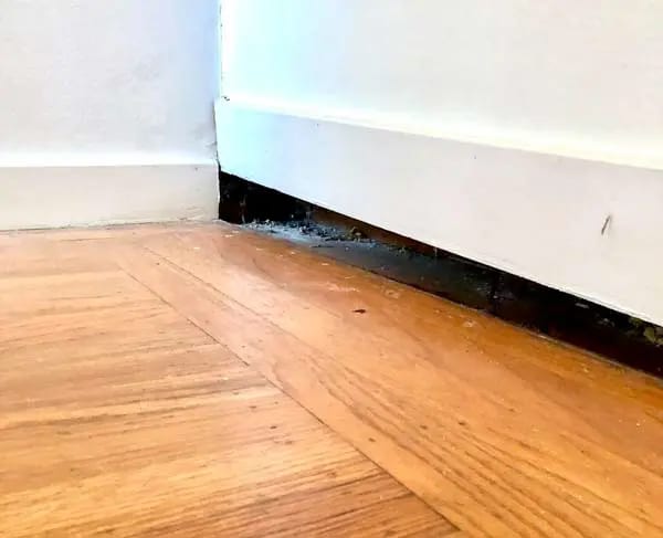 Hardwood floor dropped away from the baseboard, leaving a visible gap along the wall