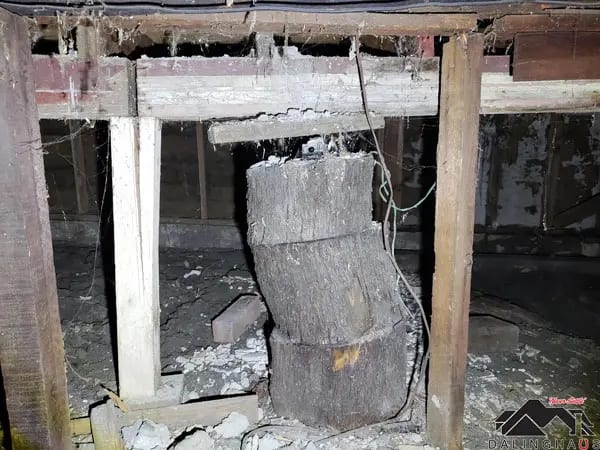 Split and decaying timber post in a crawl space, with the cripple wall framing beside it