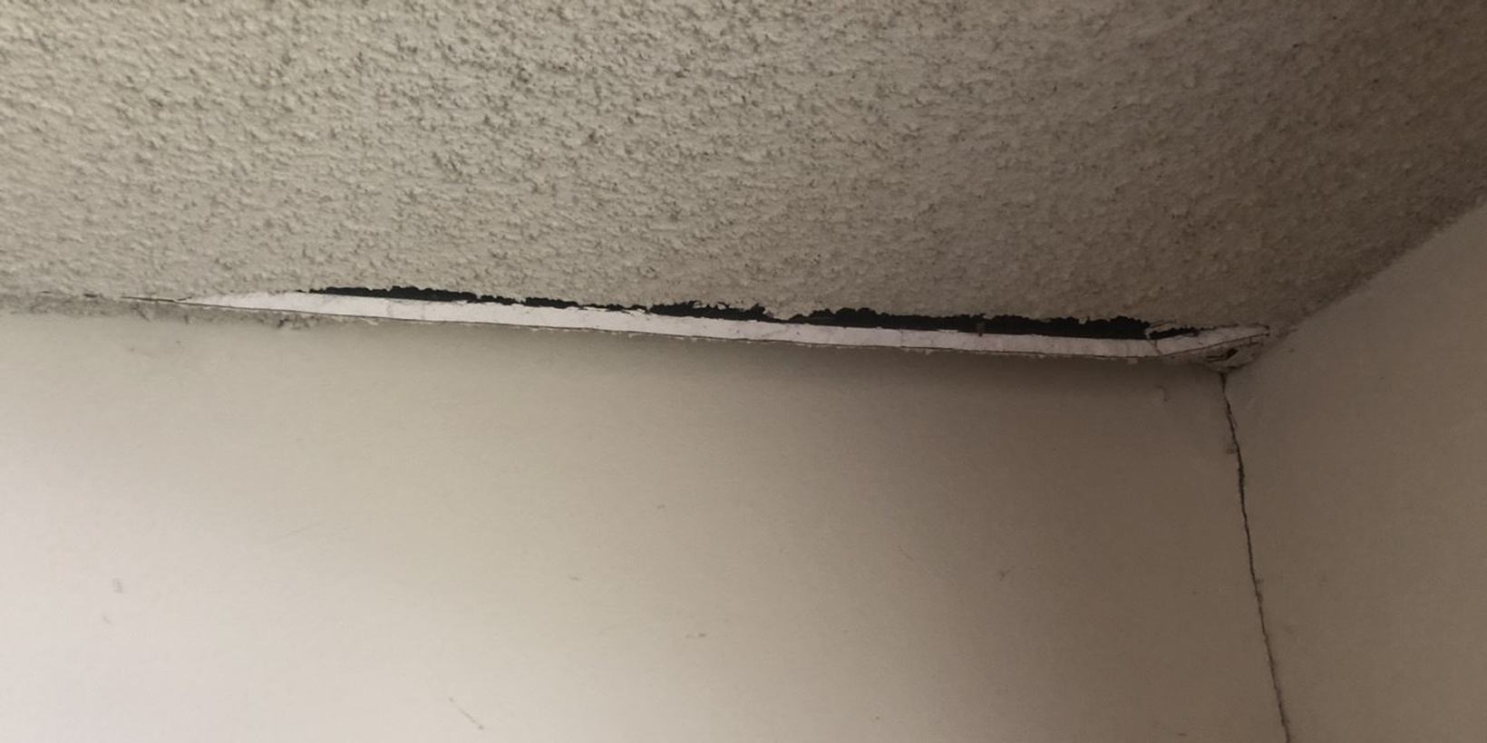 Why Do I Have Cracks in My Ceiling? (6 Types of Cracks to Look Out For)