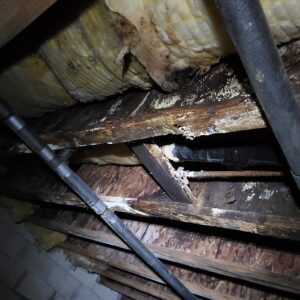 Crawlspace Encapsulation