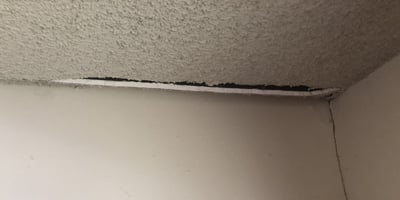 Why Do I Have Ceiling Cracks_ (Dalinghaus)