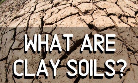 clay soils