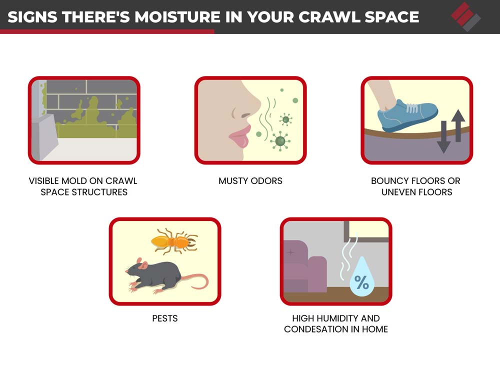 Signs There's Moisture in Your Crawl Space