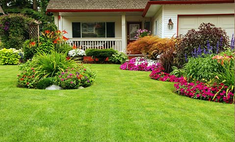 landscaping around house