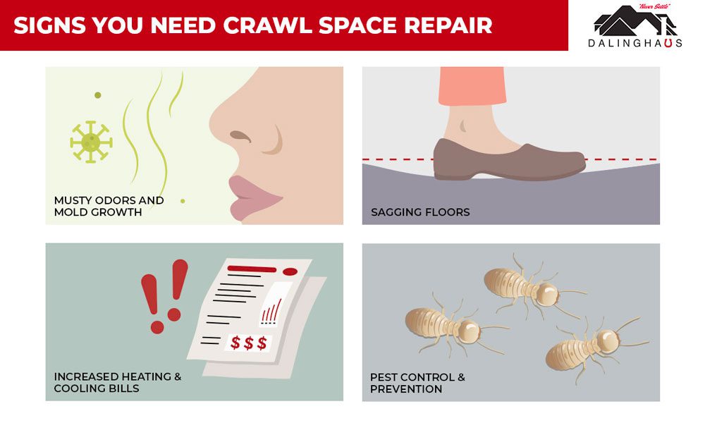 Signs you need Crawl Space Repair