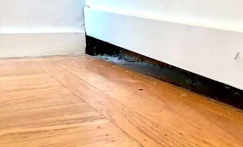 Uneven floor repair