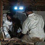The Ultimate Guide to Crawl Space Repair: Everything You Need to Know