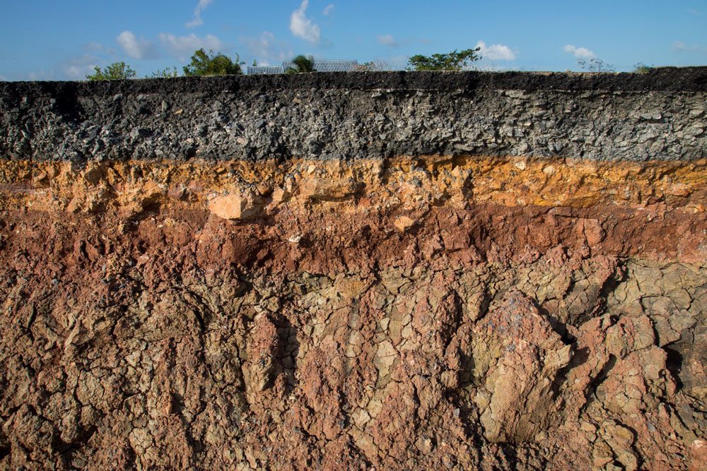 Learn how to stop erosion on a slope and protect your yard in Southern California, Arizona, and Nevada with our homeowner's guide.