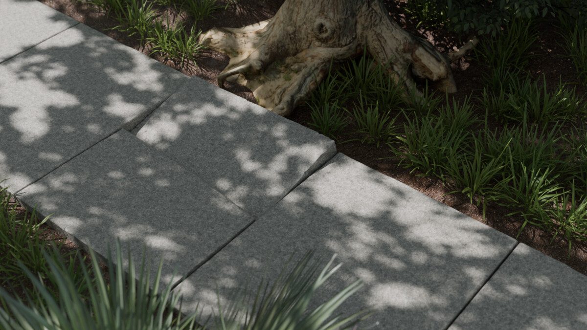 tree roots causing concrete cracks